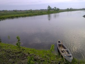 حصیربافی- مرداب خمام